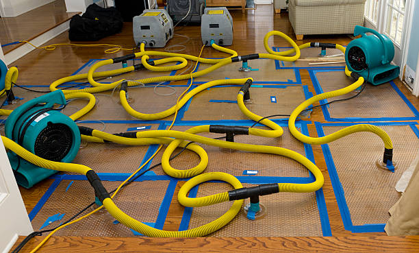 Professional Emergency Water Removal technician working in Washington, MI